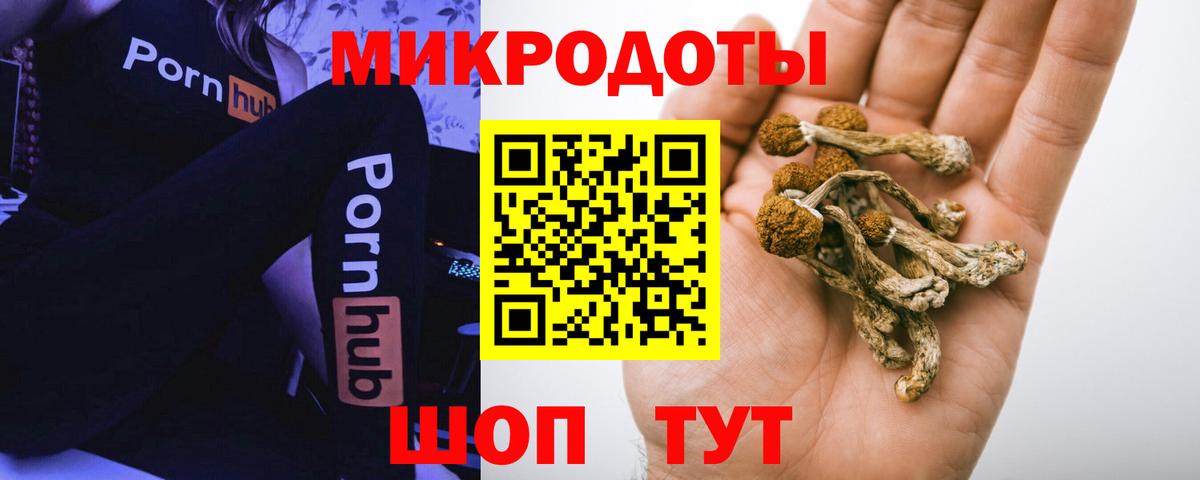 Галлюциногенные грибы мухоморы Прокопьевск